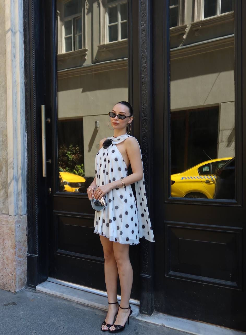 Polka Dot Mini Dress